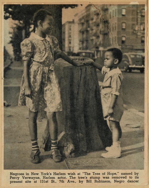 A vintage newspaper photo of two children rubbing the Tree of Hope in Harlem mid 1930's